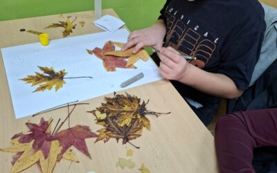 UPOZNAJMO BOJE JESENSKOG LIŠĆA