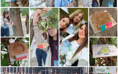 Eco-workshop Erasmus +